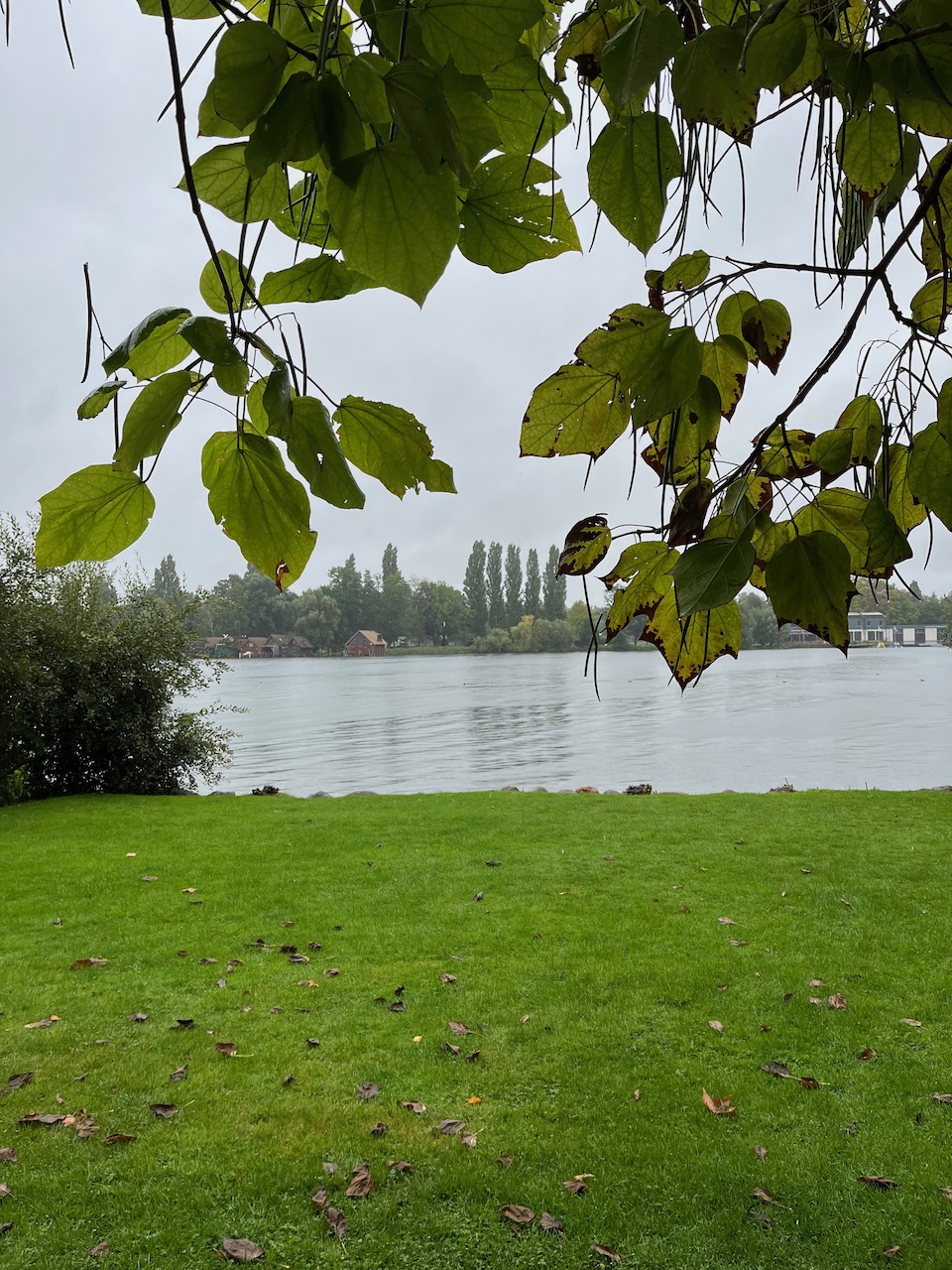 Schwerin_20230913_016