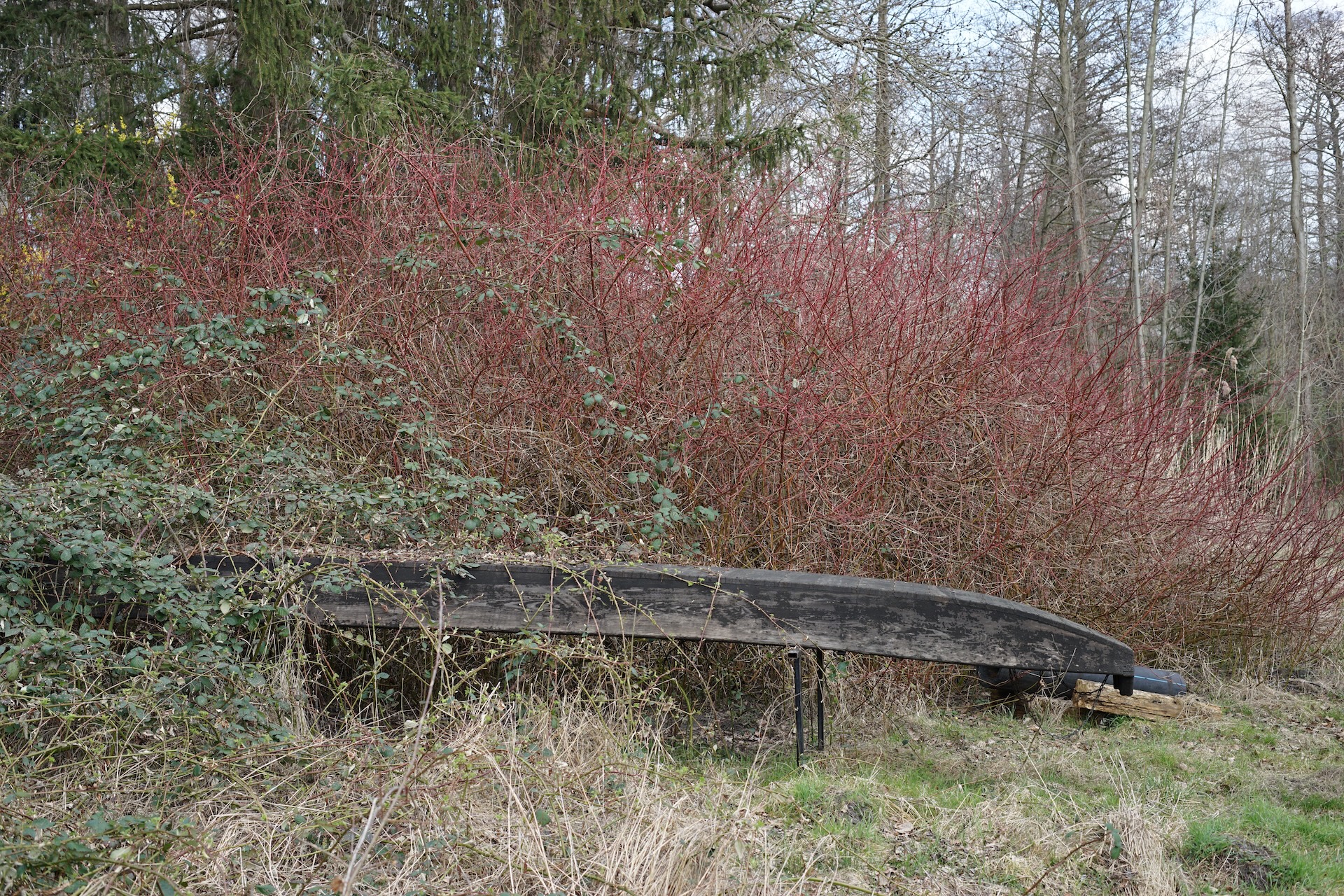 Lübbenau_20240313_020