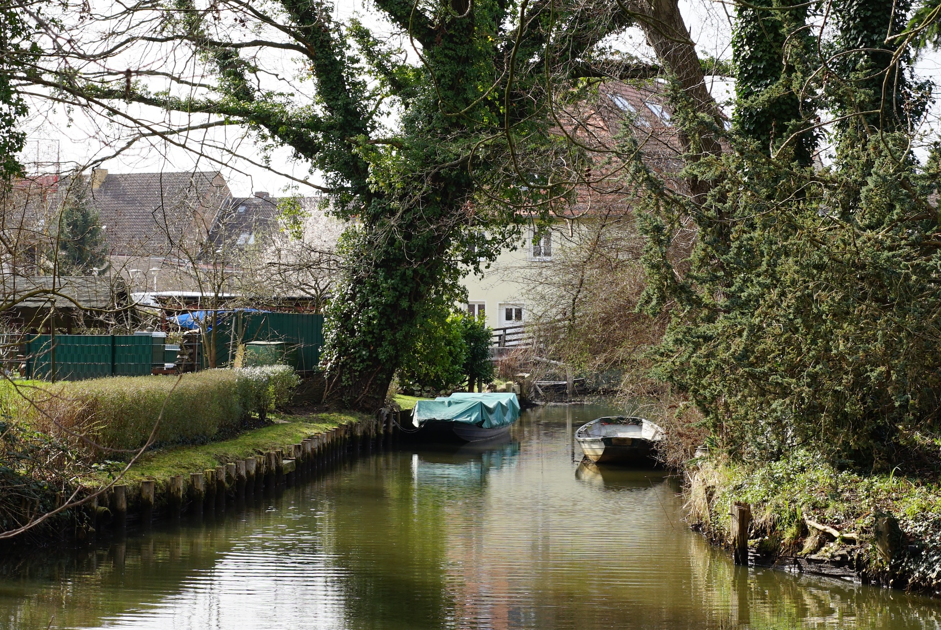 Lübbenau_20240313_031